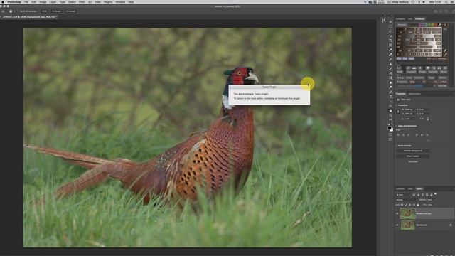 Latest Topaz DeNoise AI v3.4.1 Noise Reduction for Lightroom, Photoshop and Direct Raw Processing. смотреть онлайн