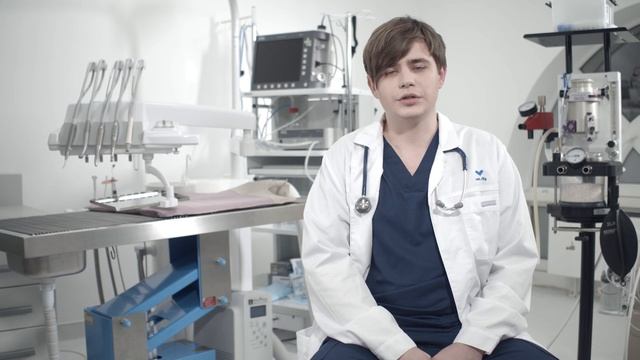 Vet.city О центре смотреть онлайн