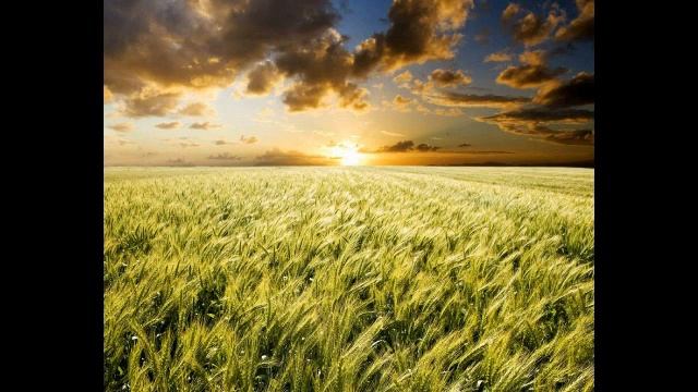 Дина Сингаевская - Не уходи смотреть онлайн