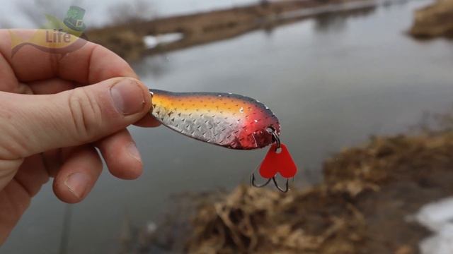 Когда начинает клевать щука весной? Секрет которого вы не знали.