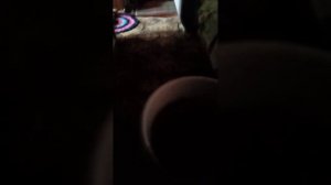 моё утро в стиле гоблинкор /my goblincore morning