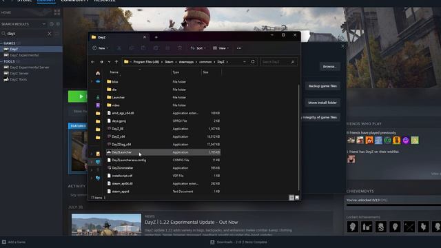 How To Fix The BIOS Error In DayZ! #NItrado Guides