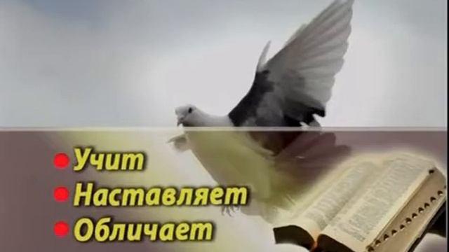 08 Выйти, чтобы не погибнуть, какой грех не может простить Бог смотреть онлайн