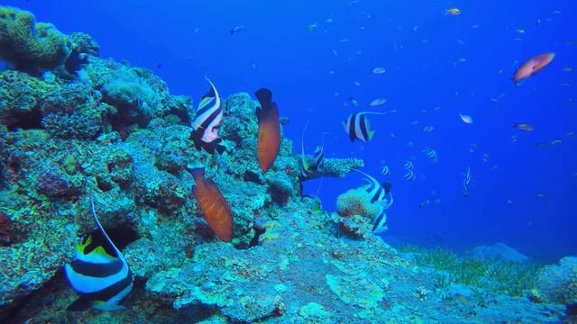 Приятная расслабляющая музыка ? Успокаивающая музыка для нервов, Музыка ? Звук океана