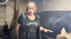 Запустили не стельную корову, что делать