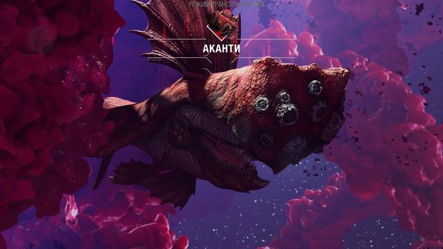 Прохождение Marvel's Guardians of the Galaxy — Часть 2: Влипли с контрабандой смотреть онлайн