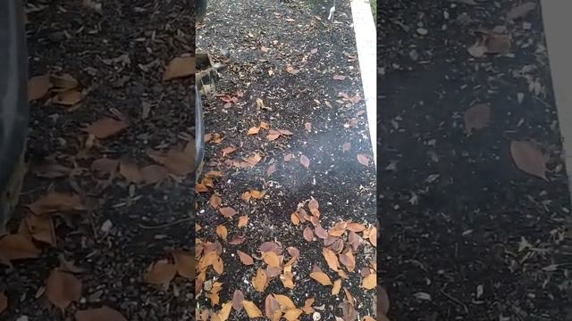 Mitsubishi Pajero 3.2 did diesel pump problem. смотреть онлайн