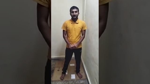 Life Cycle Angular Components смотреть онлайн