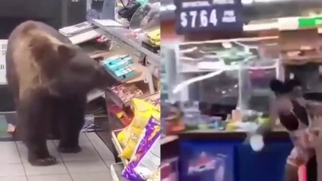 люди/звери смотреть онлайн