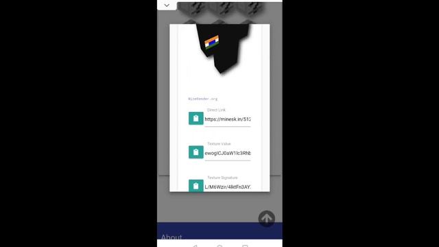 HOW TO SET CUSTOM SKIN IN POJAV LAUNCHER | CUSTOM SKINS | SKIN URL CONVERTOR смотреть онлайн