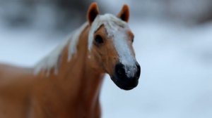 Сериал шляйх "Ты не одна" серия 11 (дальняя левада)