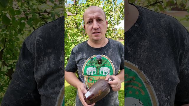 Китайская водка смотреть онлайн