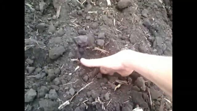 Обзор дискатора БДТ Агро 3,6х4 Краснодар смотреть онлайн
