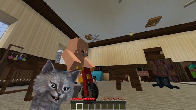 НЕПОСЛУШНЫЙ КОТЁНОК ПОЦАРАПАЛ РЕБЁНКА! - МАЙНКРАФТ ЖИЗНЬ КОТИКА 4 СЕРИЯ смотреть онлайн