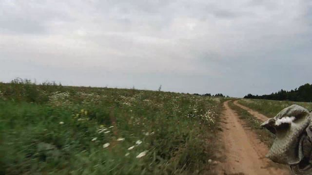 40км по полям смотреть онлайн