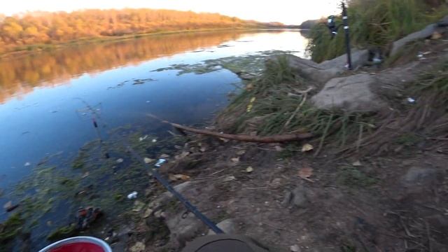 Щука на живца! Рыбалка на фидер осенью, холодной ночью! смотреть онлайн