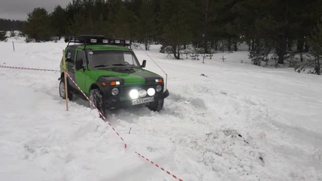 зеленая нива