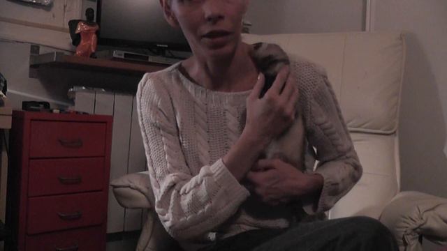 Хорек приучился к рукам смотреть онлайн