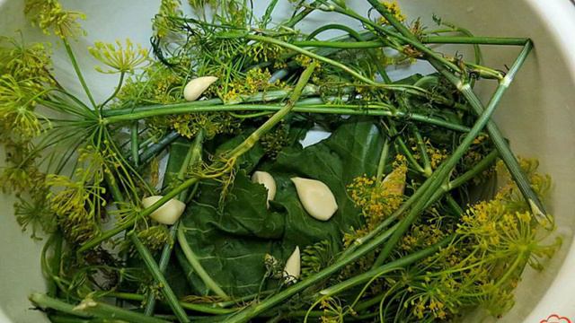 Книга рецептов