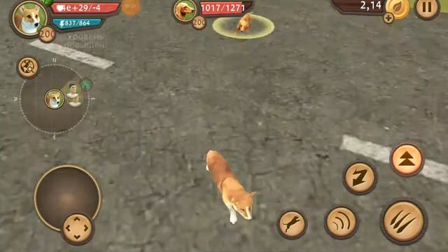 Dog Sim игра