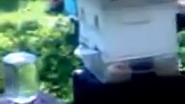 Взяток с акации... смотреть онлайн