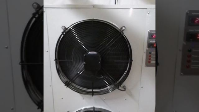 как сушить ковры после стирки. Осушитель ковров RWM смотреть онлайн