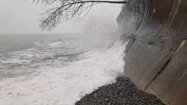 СНЕГ как ЭКЗОТИКА смотреть онлайн