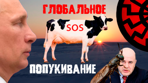 Солнце встало раньше срока на месяц ||| северное сияние и глобальное потепление ||| черное солнце 6