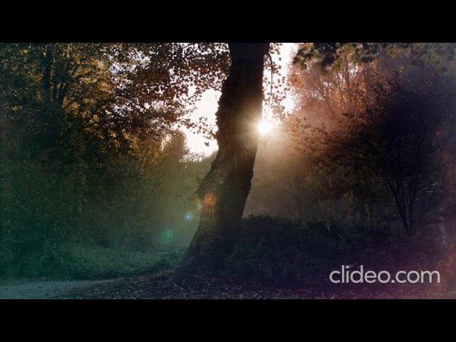 переспала смотреть онлайн