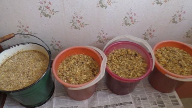 Как приготовить медовый квас на пасеке. Пошаговая инструкция. Пчелы начинающим. смотреть онлайн