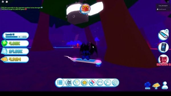 Crazy_Norwegian Playing Roblox, Pet Rift, Location of 50 hidden Sanctuary Pets