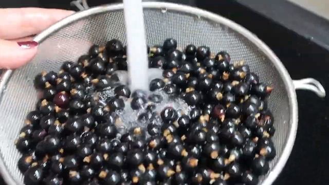 Компот из чёрной и красной смородины с ягодными листьями на зиму. Рецепт компота из ягод смородины смотреть онлайн