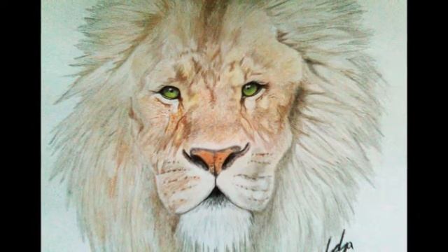 My Crayon Drawings смотреть онлайн