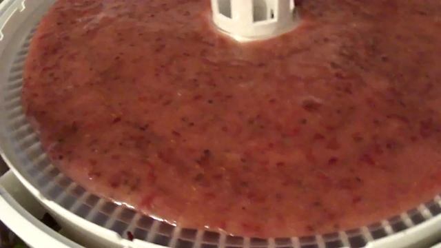 Пастила из Крыжовника в электросушилке Волтера 1000 смотреть онлайн