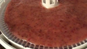 Пастила из Крыжовника в электросушилке Волтера 1000