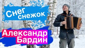 ❄️ГАРМОНИСТУ НИПОЧЁМ МОРОЗ!?  Александр Бардин - СНЕГ СНЕЖОК