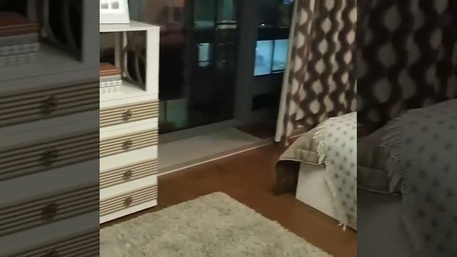 Детская мебель Саманта смотреть онлайн