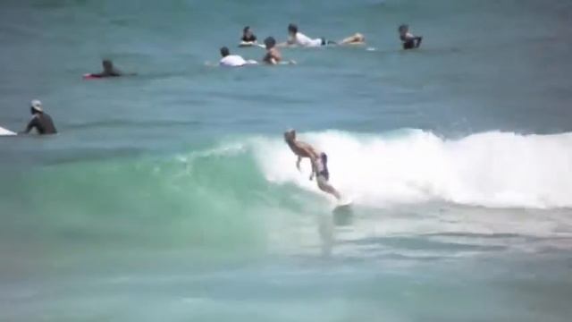 surfing at copacabana nsw after new years смотреть онлайн