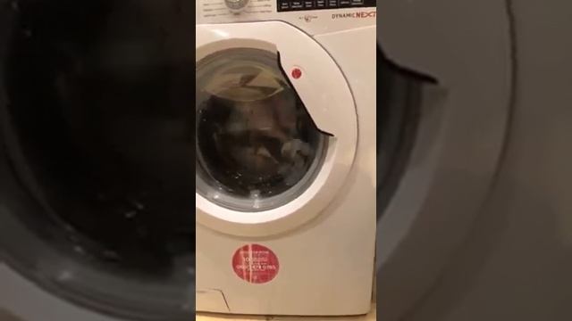 Hoover Dynamic Next WDXA496A2 Washer Dryer (Mixed)