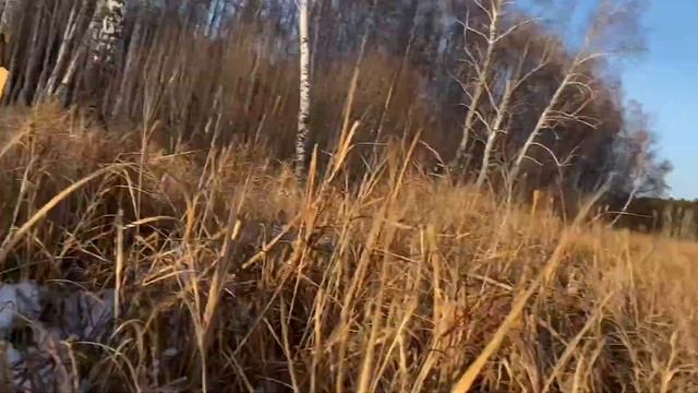 Гора Сугомак. Слюдорудник. Озеро Сугомак. смотреть онлайн