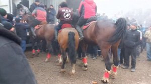 Бузкаши Улок Дар Спитамен Нов 🇭🇺Таджикистан Ба Пеш