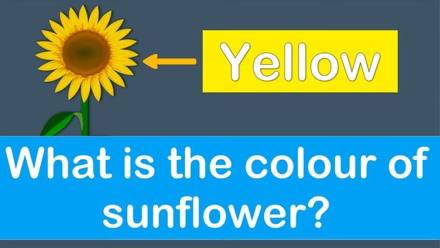 Quiz Time | Colour Quiz For Kids | Colour Test For Kids | AAtoons Kids