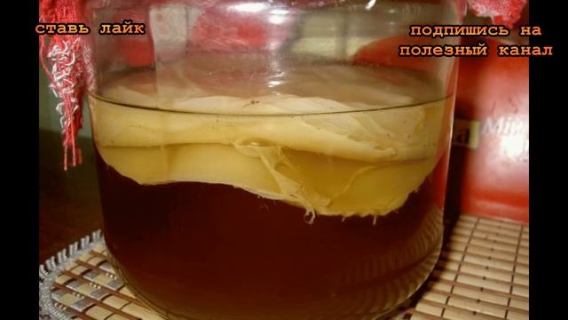 ★Как вырастить чайный гриб с нуля за полтора месяца. 7 полезных свойств чайного гриба. смотреть онлайн