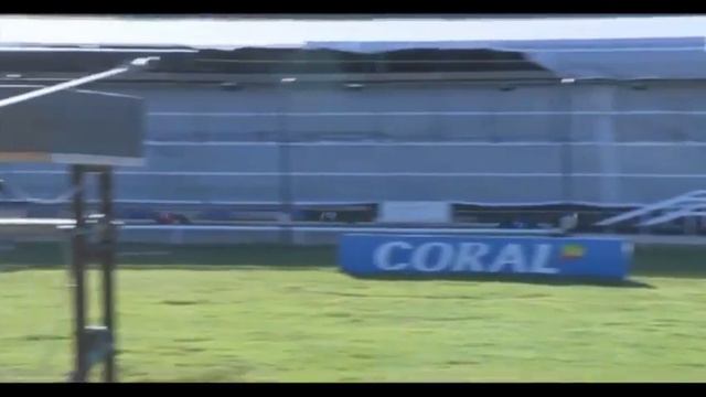 Bubbly Jazz Wins His Race In Trap 1 At Romford. Xxx✈️✈️✈️🍾 смотреть онлайн