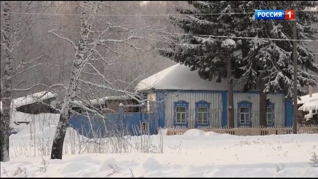 Свои смотреть онлайн