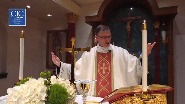 Daily Mass (Friday, October 9, 2020) смотреть онлайн