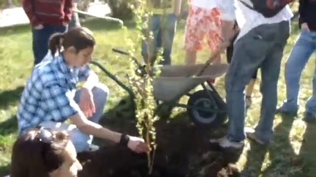 MOV05185 смотреть онлайн