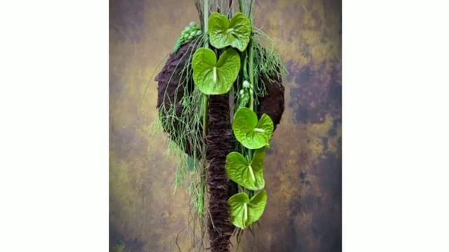 Anthurium wagawa sinhala | green anthurium Decorations | ඇන්තූරියම් වගාව | anthurium | mal wagawa смотреть онлайн