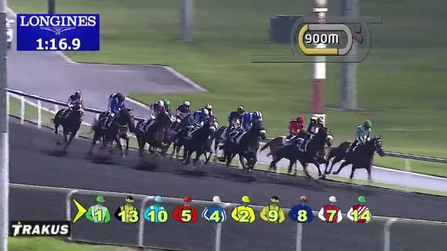 01.02.2014 Meydan (Dubai-UAE) 2.Race Al Naboodah Travel Camp - Handicap 2.000 m смотреть онлайн