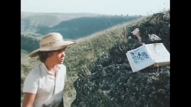 Каникулы Петрова и Васечкина. Зря безрассудство уважали мы. смотреть онлайн